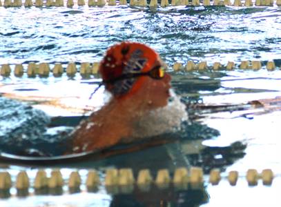 IMG_0944.JPG