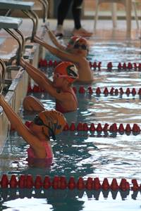 IMG_8515.JPG